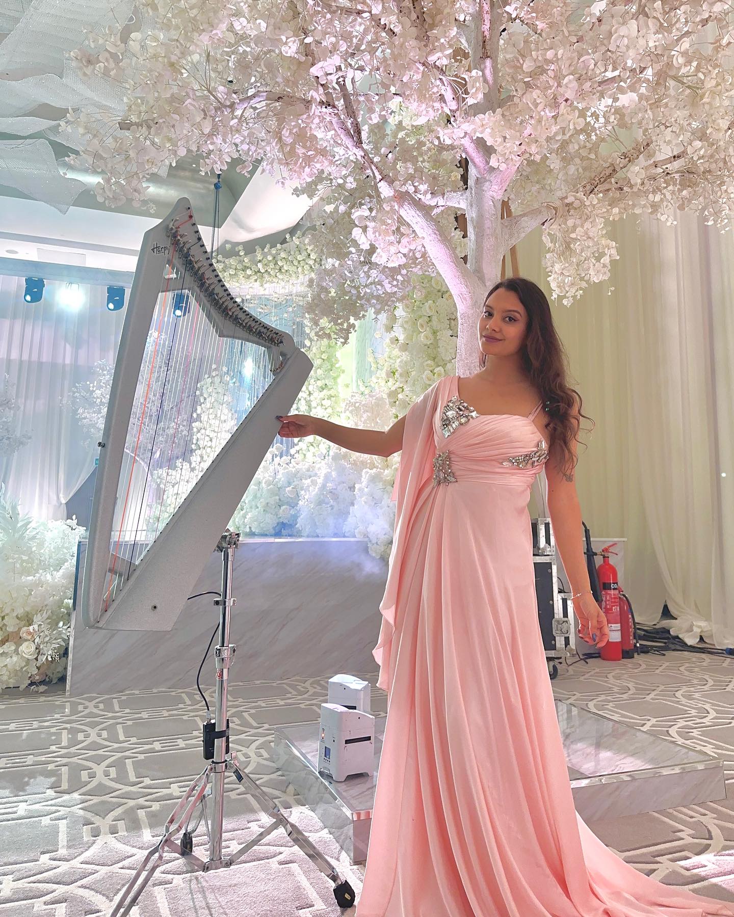 HARPIST KARENM