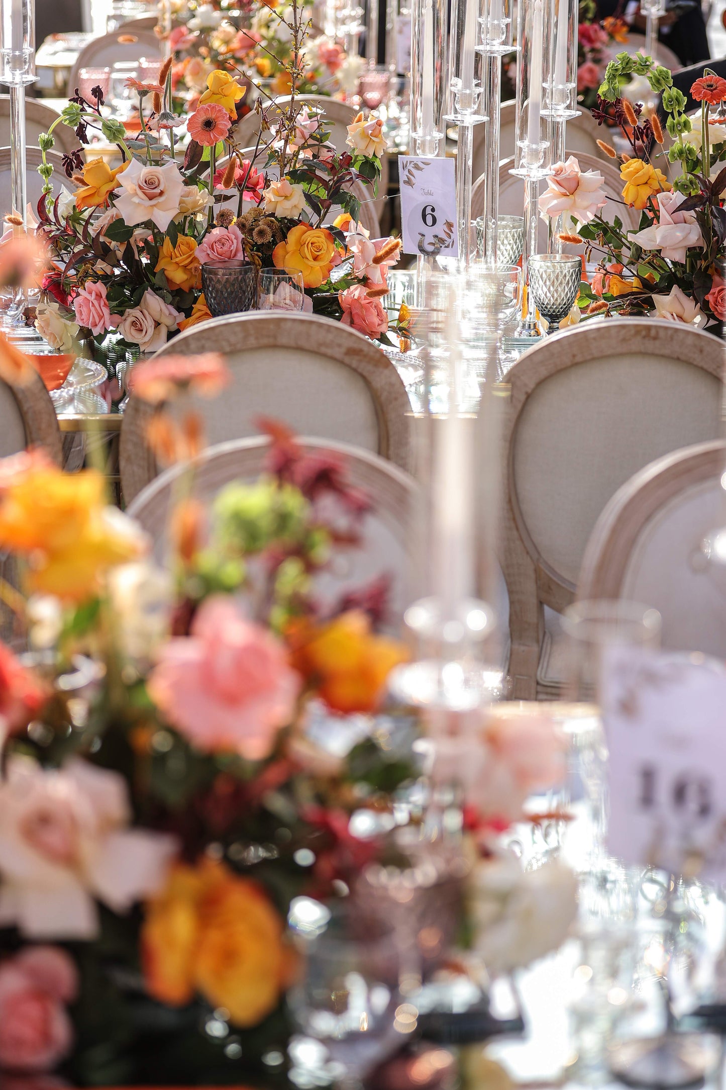 Bohemia Wedding Decoration Package