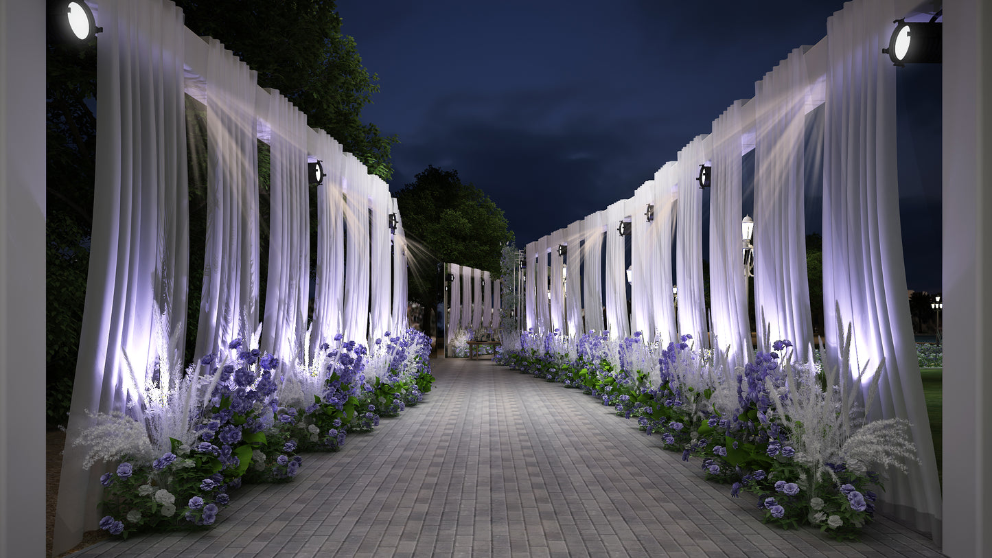Euphoria Wedding Decoration Package