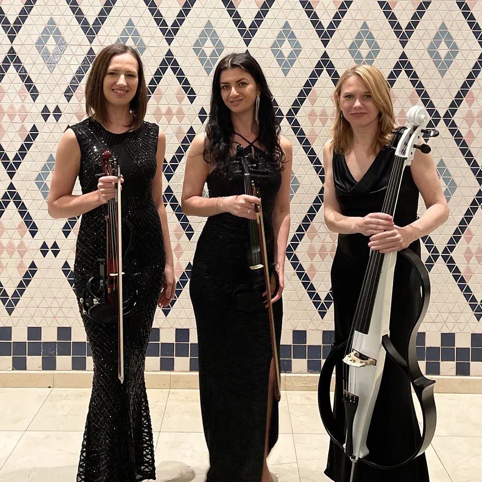 VIOLINIST ANNA PERASIAN